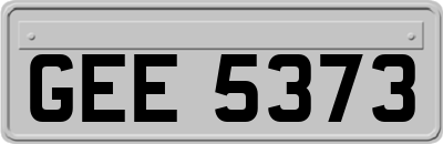 GEE5373