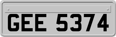 GEE5374