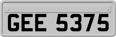 GEE5375