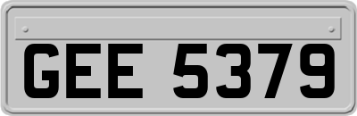 GEE5379