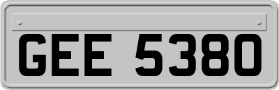 GEE5380