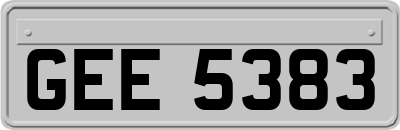 GEE5383