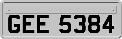 GEE5384