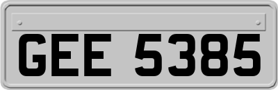 GEE5385