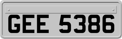 GEE5386