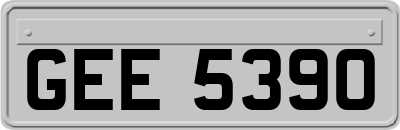 GEE5390