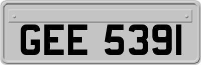 GEE5391