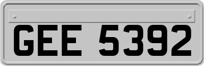 GEE5392