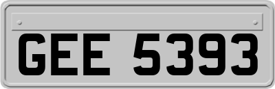 GEE5393