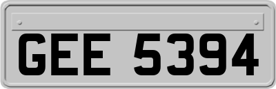 GEE5394
