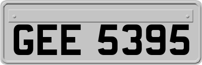 GEE5395