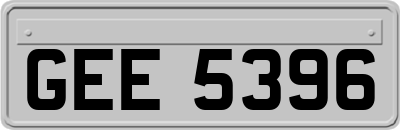 GEE5396