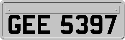 GEE5397