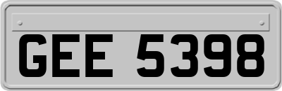GEE5398