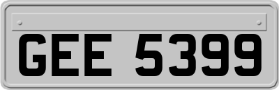 GEE5399