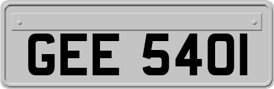 GEE5401
