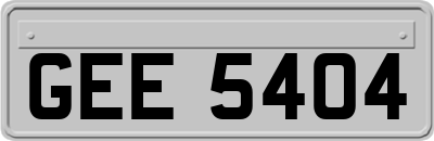 GEE5404
