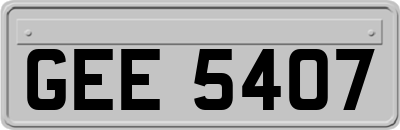 GEE5407