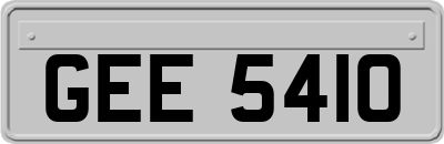 GEE5410