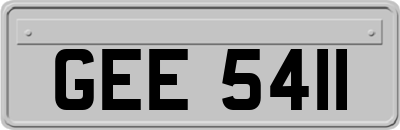 GEE5411