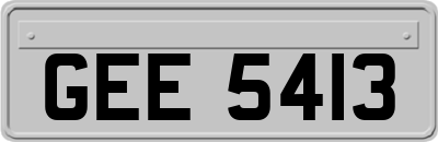 GEE5413