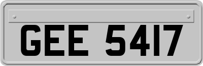 GEE5417