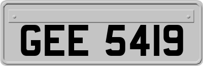 GEE5419