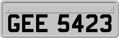 GEE5423
