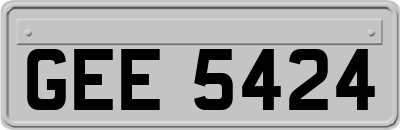 GEE5424