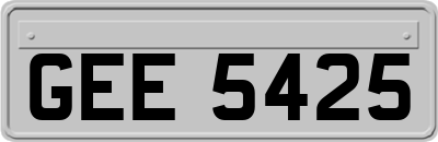 GEE5425