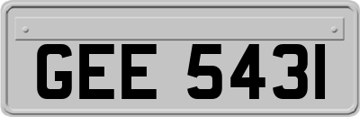 GEE5431