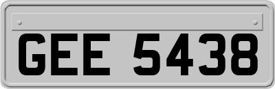GEE5438