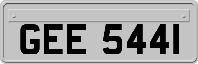 GEE5441
