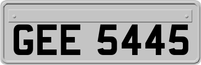 GEE5445