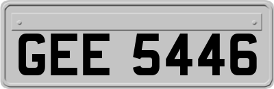 GEE5446