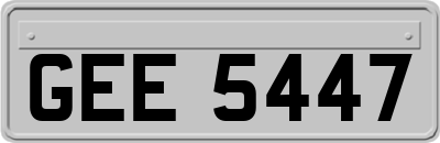 GEE5447