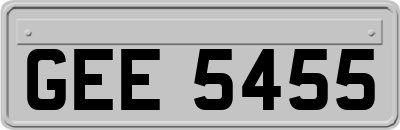 GEE5455