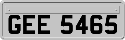 GEE5465