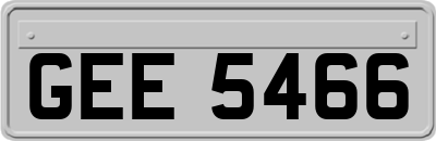 GEE5466