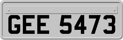GEE5473