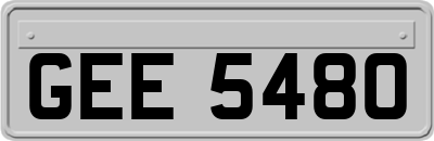 GEE5480
