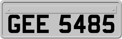 GEE5485