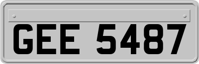 GEE5487