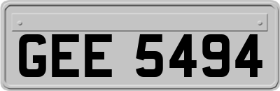 GEE5494