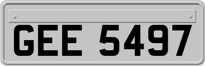 GEE5497