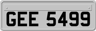 GEE5499