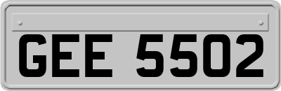 GEE5502