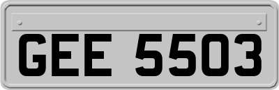 GEE5503