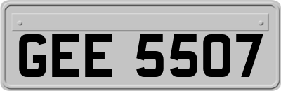 GEE5507