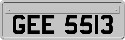 GEE5513